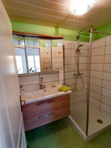 ein Bad mit einem Waschbecken und einer Dusche in der Unterkunft Waldhaus Klein-Veitsch, Auszeit im Grünen in Niederaigen