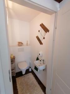 a bathroom with a toilet and a sink at Waldhaus Klein-Veitsch, Auszeit im Grünen in Niederaigen