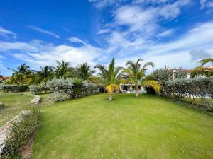 un gran patio con palmeras y una valla en Casa de Playa, en Cartagena de Indias