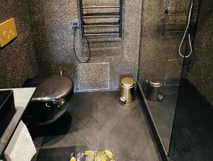 a bathroom with a black toilet and a shower at Apartment Am Paradies in Bad Lauterberg