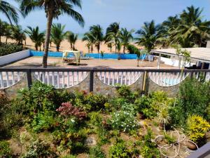 un jardín en el balcón de un complejo en Appartement d'une chambre a Grand Popo a 10 m de la plage avec piscine partagee jardin clos et wifi, en Grand-Popo