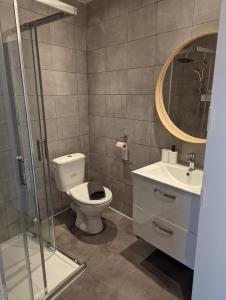 a bathroom with a toilet and a sink and a mirror at Duplex de 65 m2, Cœur de Bonneval in Bonneval