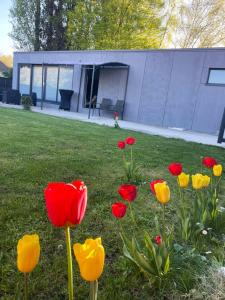 a group of red and yellow flowers in the grass at Cozy House with Garden and Jacuzzi in Tournai in Tournai