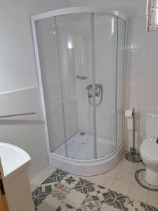 a shower in a bathroom with a toilet at Chata u Vajdov in Stará Lehota