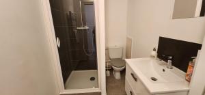 Un baño con ducha, inodoro y lavabo. en Le Bellecroix, en Metz