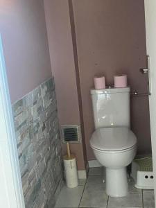 a bathroom with a toilet with pink towels on top at JOLI GÎTE ARDÈCHOIS in Plats +6 photos