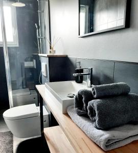 a bathroom with a sink and a toilet at Bienvenue au Gîte de Mornas in Beaumont-lès-Valence