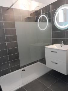 a bathroom with a white sink and a mirror at Le Descartes in Descartes