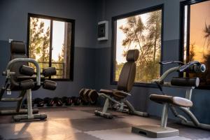 a gym with cardio equipment and two windows at D.D. Amazonica Bungalows in Landsboerderij