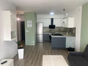 Kuchyňa alebo kuchynka v ubytovaní 1 Tyskie Apartamenty z ogródkiem