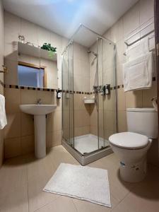 a bathroom with a shower and a toilet and a sink at Casa Suu Valdelinares in Valdelinares