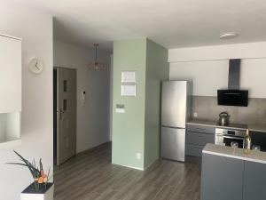 Kuchyňa alebo kuchynka v ubytovaní 1 Tyskie Apartamenty z ogródkiem