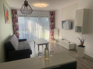 Kuchyňa alebo kuchynka v ubytovaní 1 Tyskie Apartamenty z ogródkiem