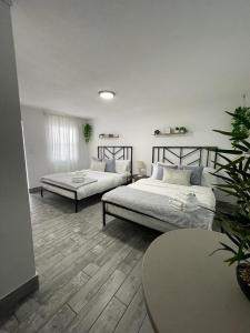 a bedroom with two beds and a table in it at 2 Q Studio Apt With Shared Pool 01 in Clearwater