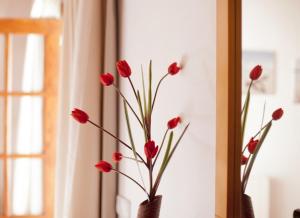 un groupe de fleurs rouges dans un vase à côté d'une fenêtre dans l'établissement Ca Na Rita den Constantino - Formentera Break, à Playa Migjorn