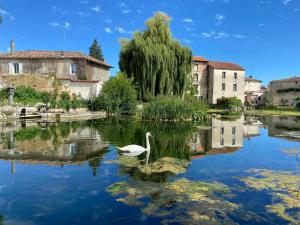 a swan swimming in a lake in a city at Charmante MAISON Lumineuse, Chaleureuse et confortable in Julienne
