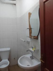 ein Badezimmer mit einem WC, einem Waschbecken und einem Spiegel in der Unterkunft Les Signares in Sor