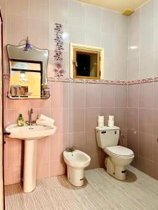 a bathroom with a sink and a toilet and a mirror at Belle villa privé in Ounara