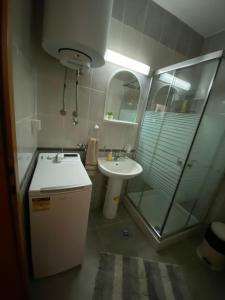 y baño pequeño con lavabo y ducha. en Ivy Apartment, en Vrnjačka Banja