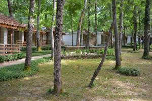 普里莫尔斯科Villas Holidays的相册照片