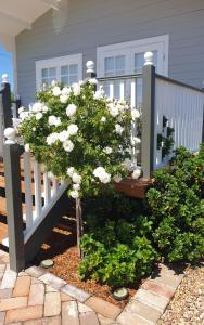 um arbusto com flores brancas em frente a uma cerca em Dangerfield Oaks Boutique Cottage's em Mudgee