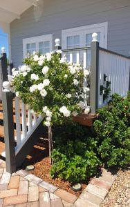a bush with white flowers in front of a fence at Dangerfield Oaks Boutique Cottage's in Mudgee