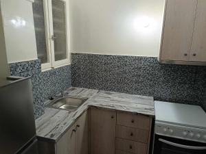 雅典Simply Athens Apartment的带水槽和台面的厨房