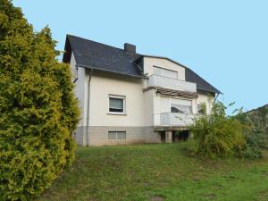 a house on a hill with a yard at Apartment on the Moselle in Neumagen Dhron in Neumagen-Dhron