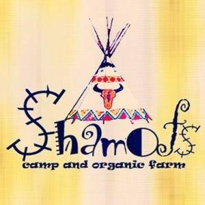 logotipo de carnaval y granja ecológica con tienda de campaña en Shamofs Farm en Siwa