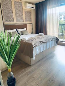 a bedroom with a bed and a potted plant at Argisht luxury apartment Golden sands in Golden Sands