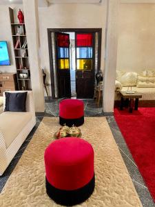 馬拉喀什的住宿－Dar Si Allal，客厅门前有两只红色的长 ⁇ 