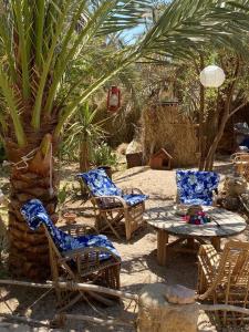 um pátio com cadeiras, uma mesa e uma palmeira em Shamofs Farm em Siwa