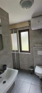 a bathroom with a sink and a toilet and a window at Apartman 67 in Divčibare