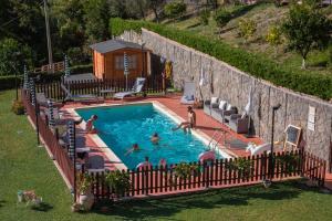 an overhead view of a swimming pool with people in it at B&B Vignola in Levanto