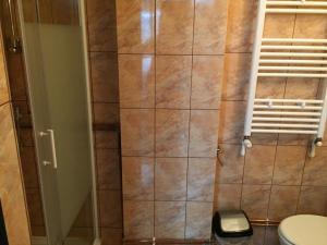 ein Bad mit einer gefliesten Dusche und einem WC in der Unterkunft Casa Emil in Botuş