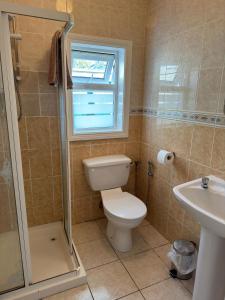 Kupatilo u objektu Aherlow Valley Hideaway