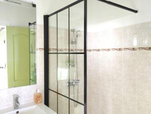 una ducha con puerta de cristal en un baño en Appartement confortable avec vue sur mer à Bouillante, 50 m², en Bouillante
