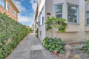 A garden outside Urban oasis close to Bart, shops, restaurants in oakland