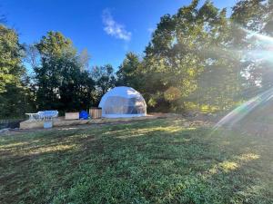 a large dome tent in a field with trees at Open Sky Glamping Kawartha Dome in Marmora