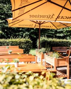 eine Gruppe von Holzbänken mit einem Sonnenschirm in der Unterkunft heimatbude Loft in Rotenhain