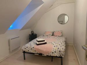 a bedroom with a bed in a attic at Le Duplex d'Auron in Bourges