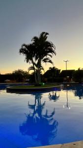 a palm tree sitting in the middle of a swimming pool at Winterville flat 307 in Gravatá