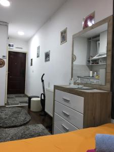 eine Küche mit einer Spüle und einer Arbeitsplatte in der Unterkunft Apartman Park Kragujevac in Kragujevac
