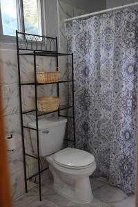 a bathroom with a toilet and a shower curtain at Boquete Firefly Inn in Boquete