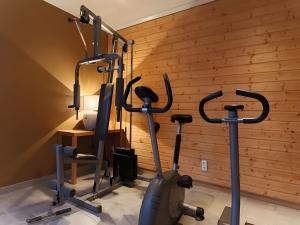 Fitness centrum a/nebo fitness zařízení v ubytování Hotel Myrtilles + 22 fotografií