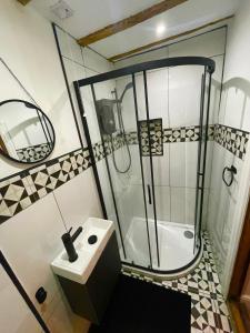 a bathroom with a shower and a sink and a toilet at Hector’s luxurious apartment in Castle Donington