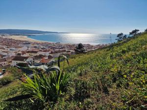 a view of a town on a hill next to the ocean at CANTINHO DAS FIGUEIRAS in Nazaré