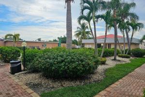 a palm tree and a building with a palm tree at Rodeway Inn Fort Myers Central in Fort Myers