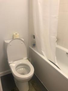a bathroom with a toilet with a shower curtain at Double Room close to Central London- Females Only in London