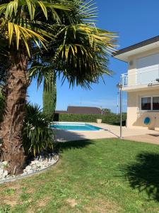 a palm tree next to a house with a swimming pool at Chambre Maxilly in Maxilly-sur-Léman